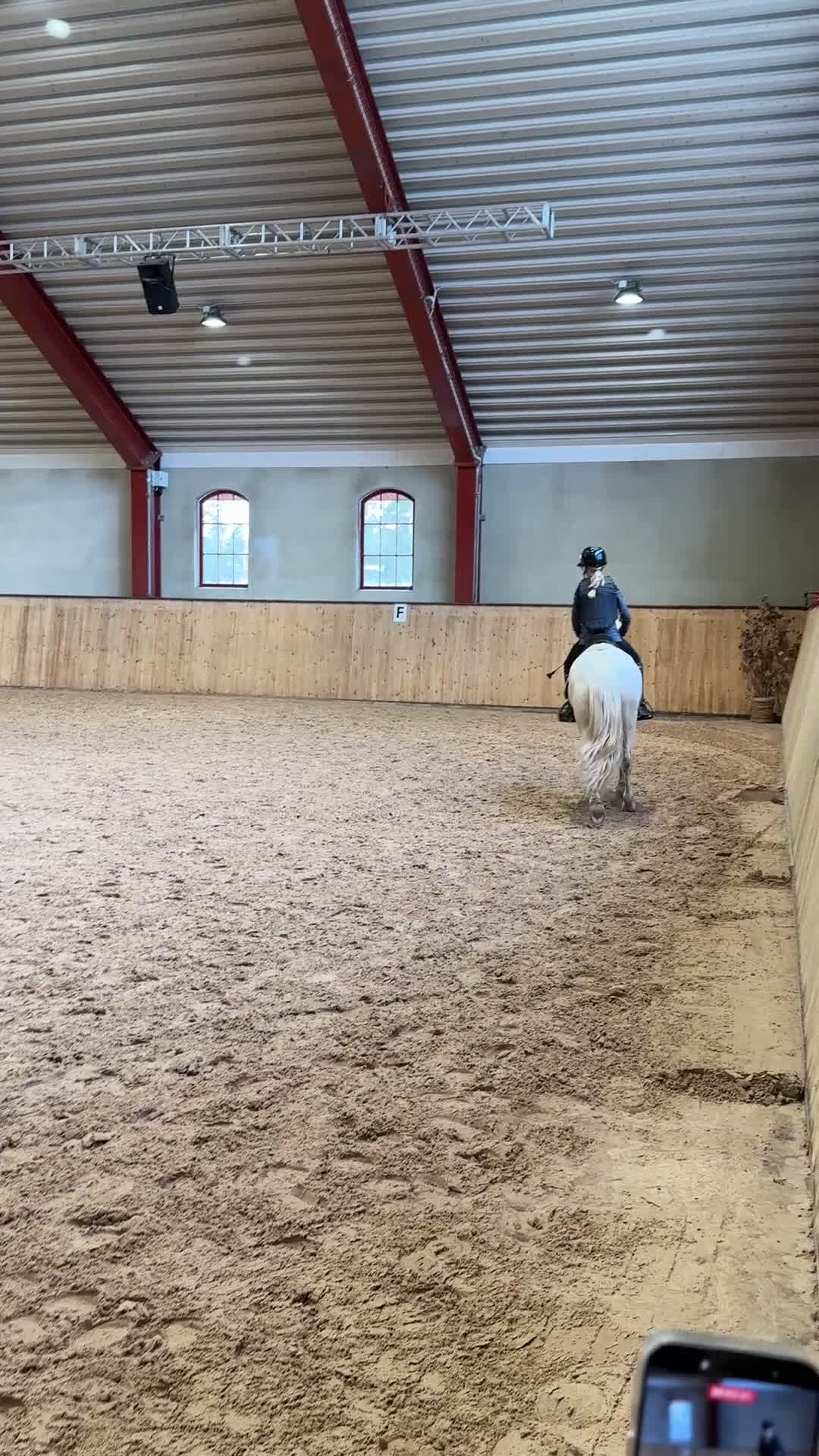 Hoppning hästar till salu: Talangfull drömponny! - Video 5