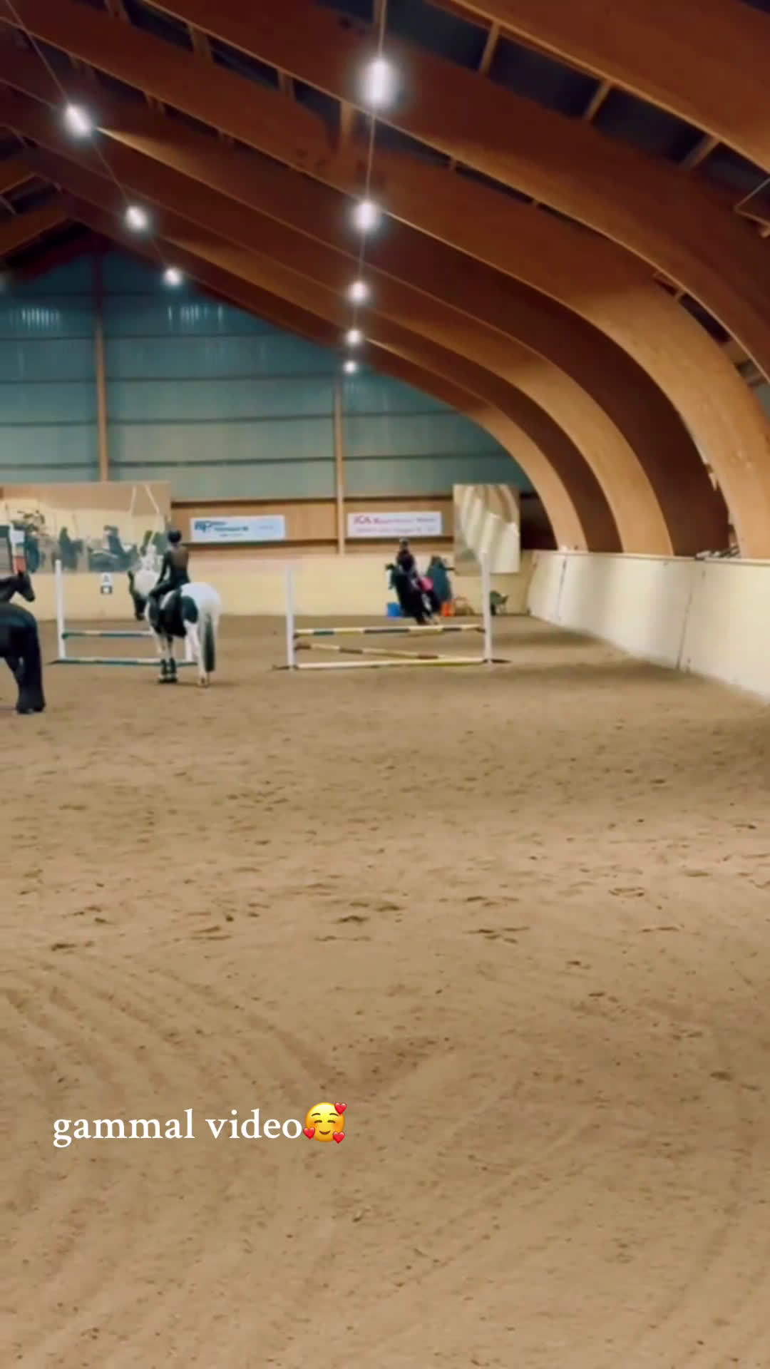 Allround hästar sökes: Söker C ponny till tävling i Nora - Video 1