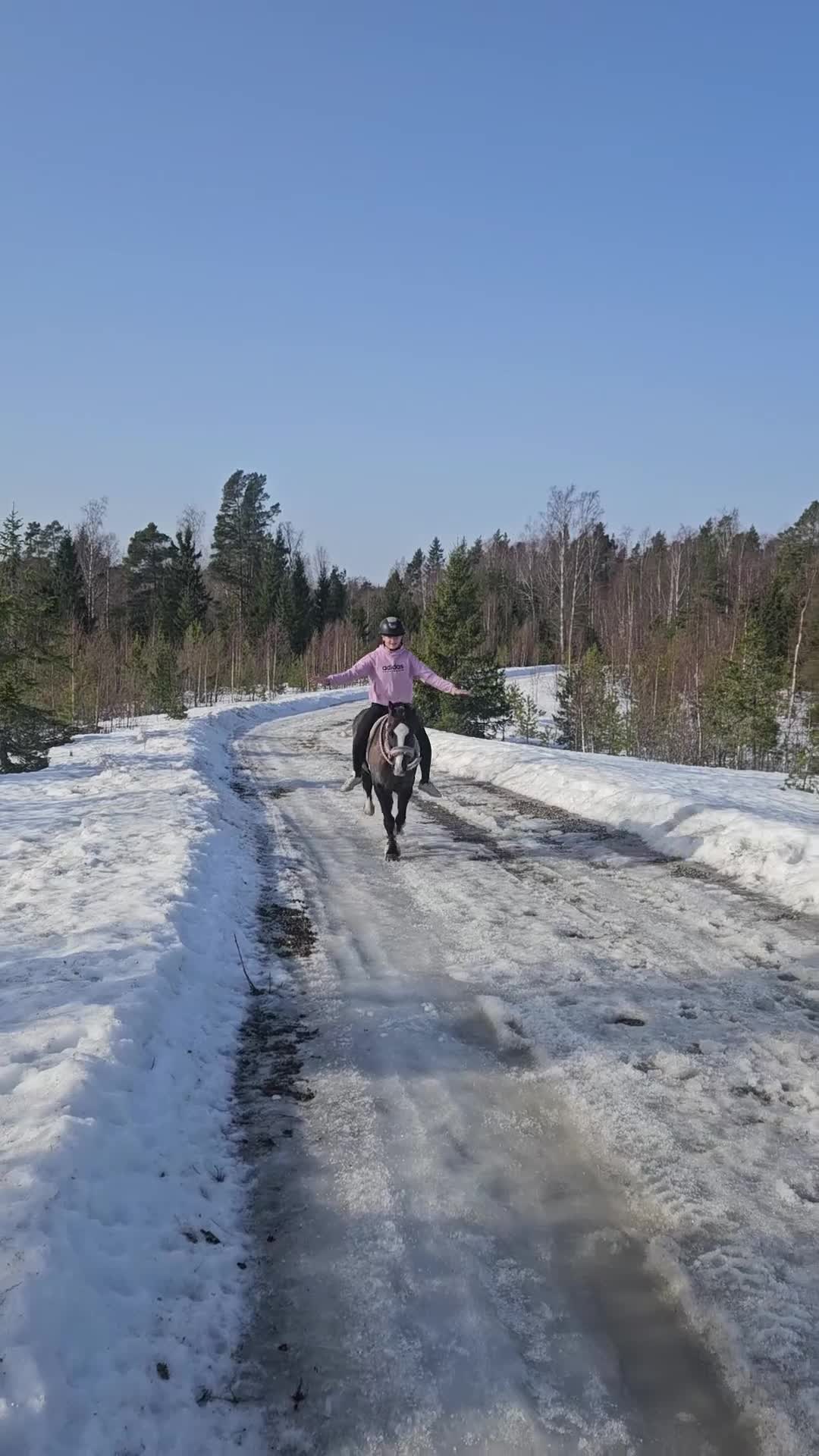 Allround hästar till salu: *RESERVERAD* Rosettplockare och bästa vän🥇 - Video 3