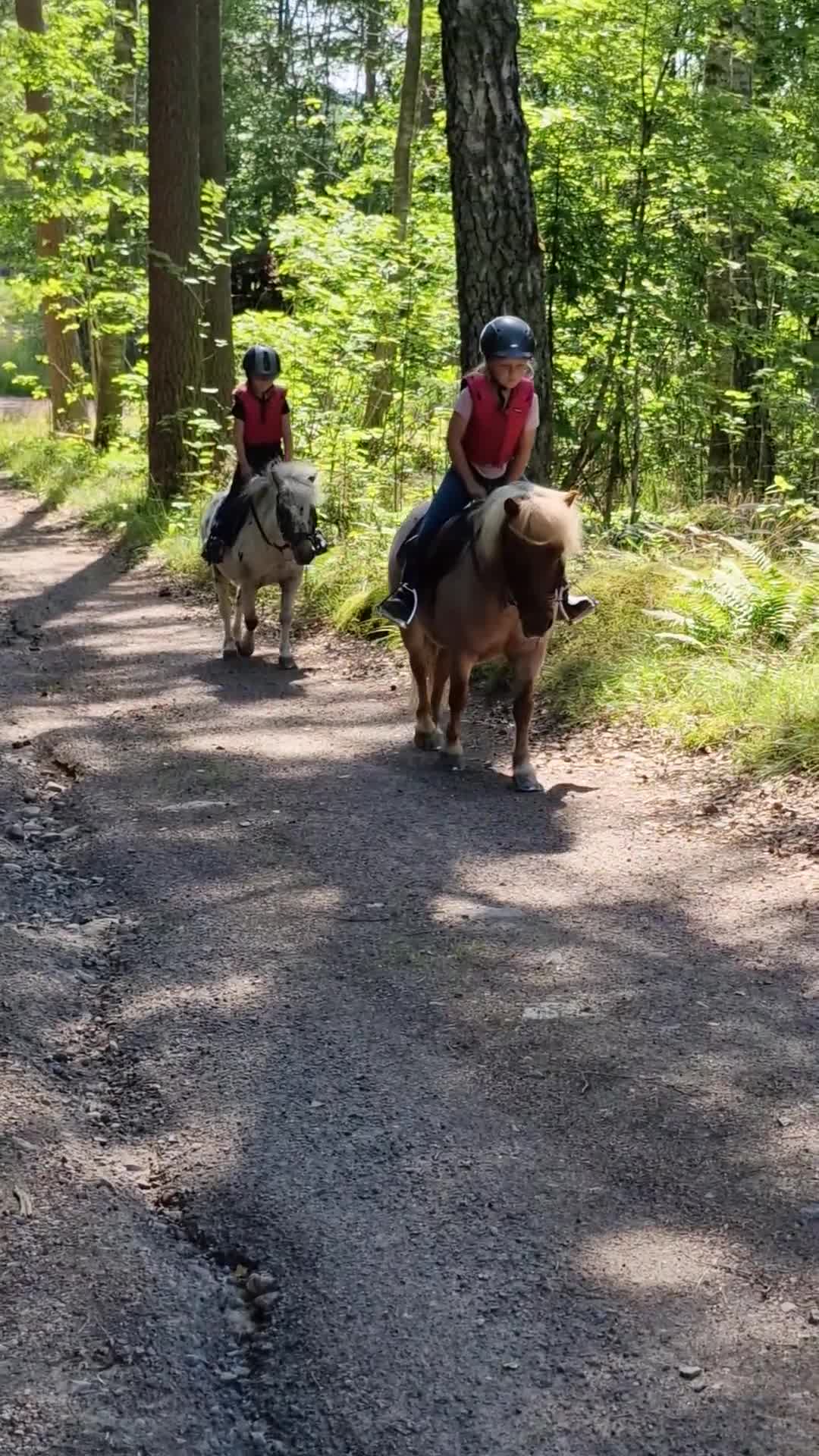 Allround hästar till salu: *Reserverad* Världens gladaste ponny - Video 2