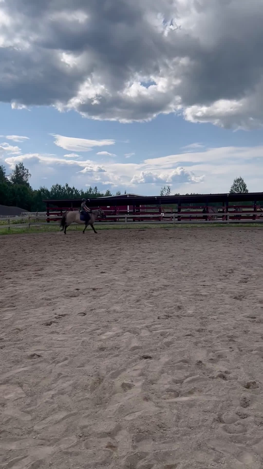  medryttarhäst sökes: SÖKER MEDRYTTARHÄST  i Uppsala - Video 3