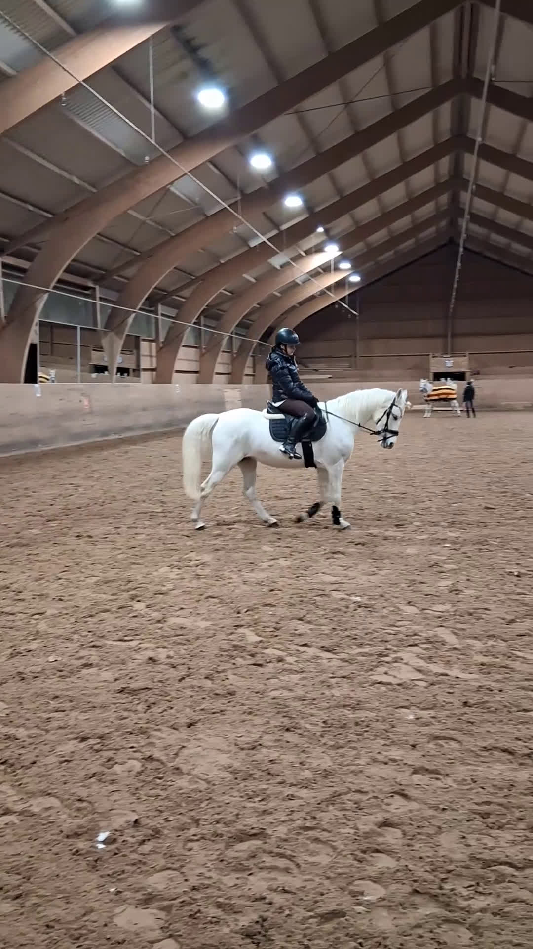 Allround hästar till salu: Världens mysigaate ponny ej igång.  - Video 2