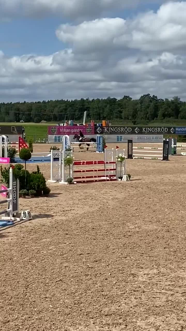 Hoppning hästar till salu: Tävlingsponny i Klagstorp - Video 3