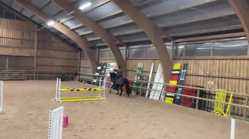 Dressyr hästar till salu: Oslipad diamant med stor personlighet 💎 i Skummeslövsstrand - Video 4