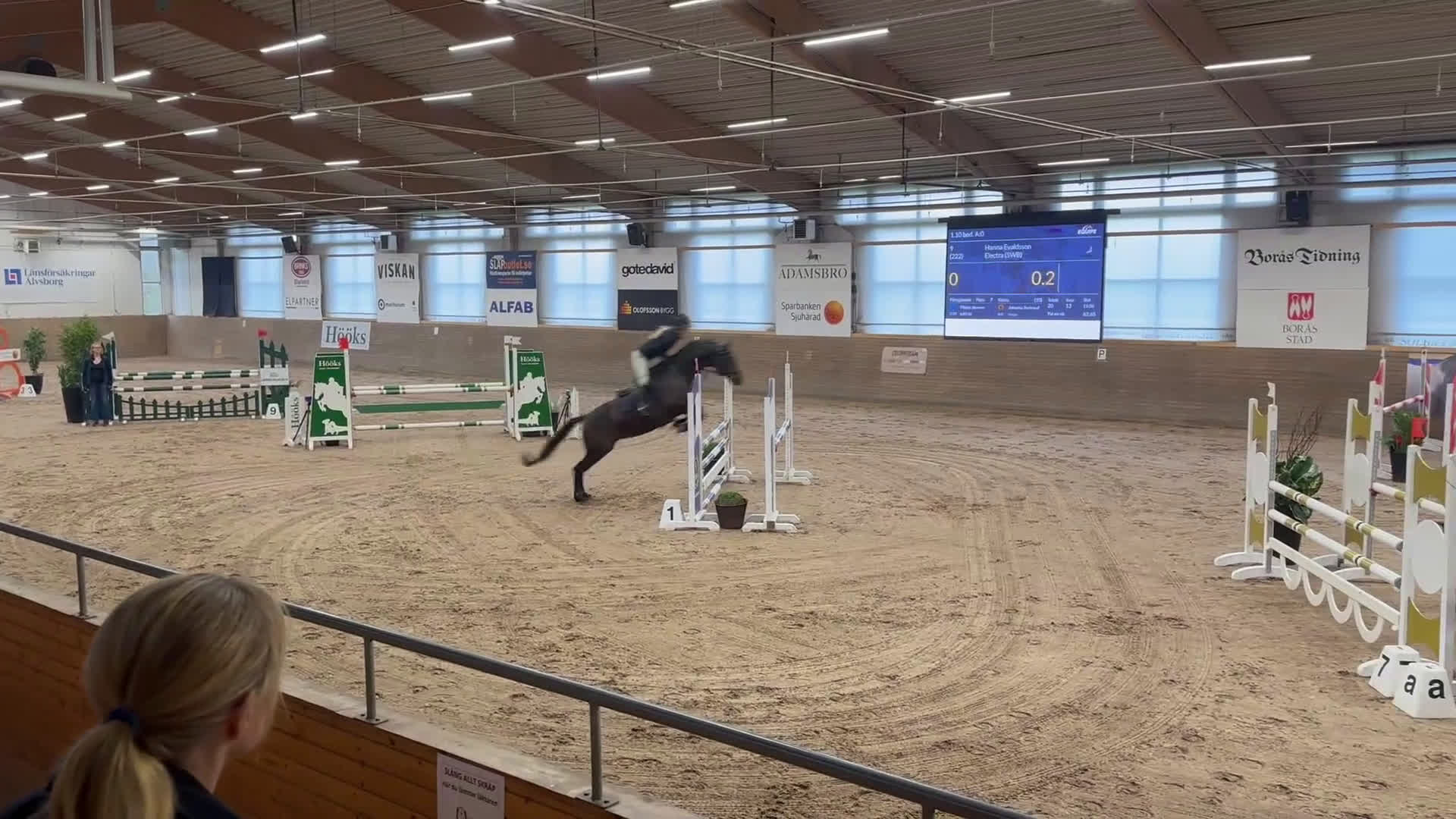 Hoppning hästar till salu: 13 årigt sto i Skepplanda - Video 1