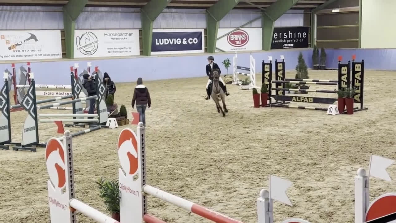 Hoppning hästar till salu: Fantastisk c-ponny i Trollhättan - Video 1