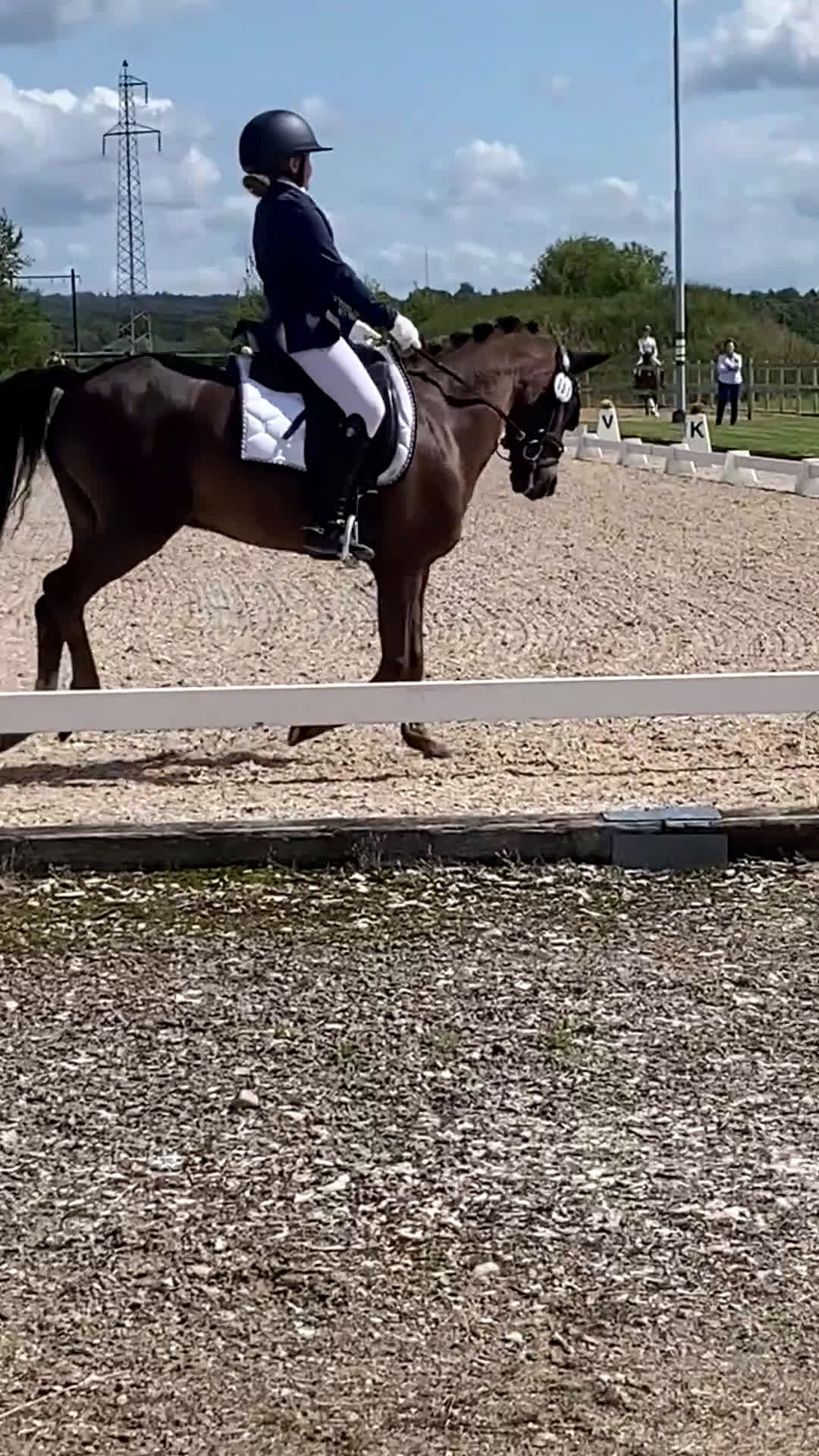 Dressyr hästar till salu: SM ponny med stort ❤️ i Rimbo - Video 1