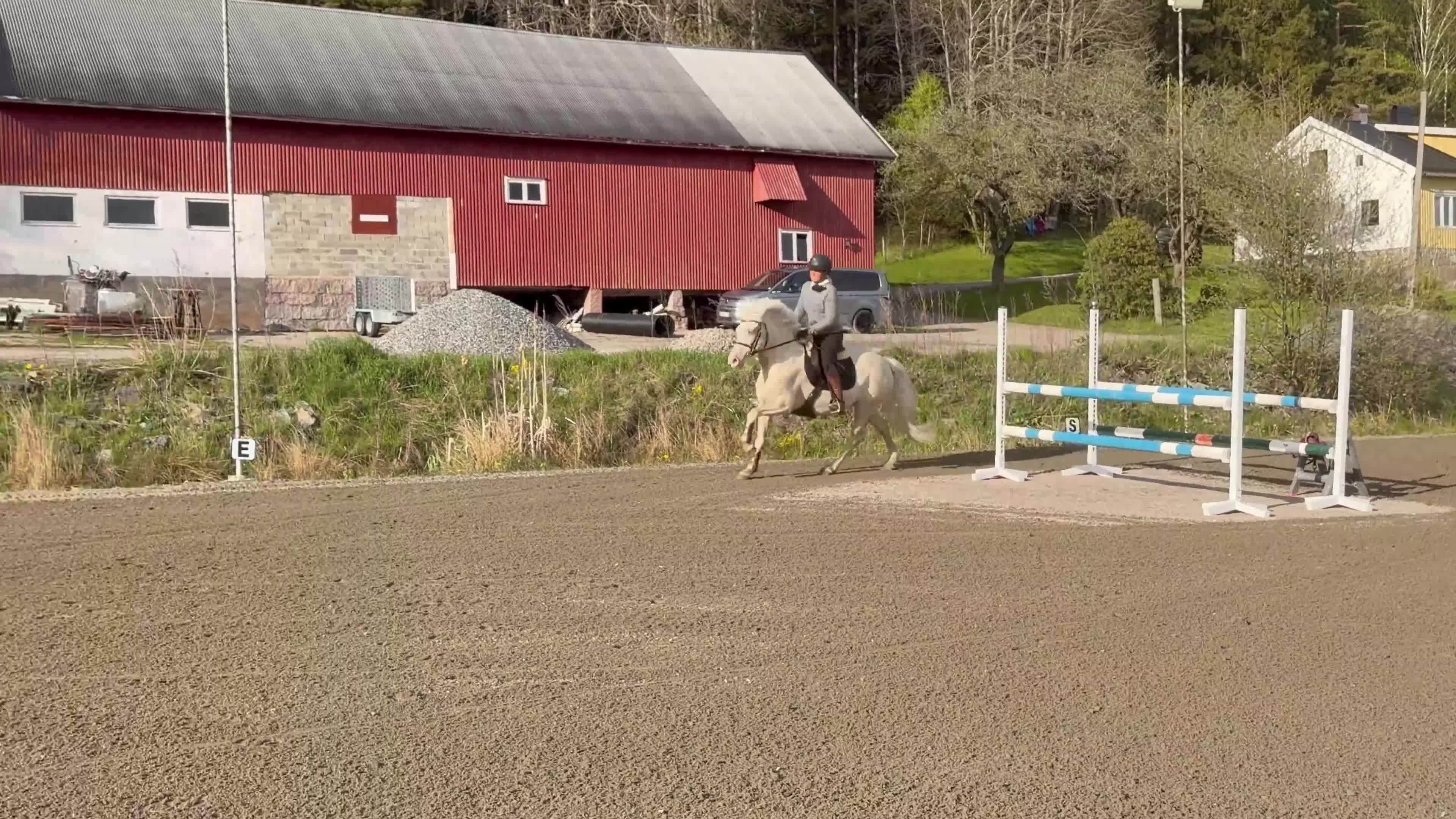 Allround hästar till salu: Härlig ponny! - Video 1