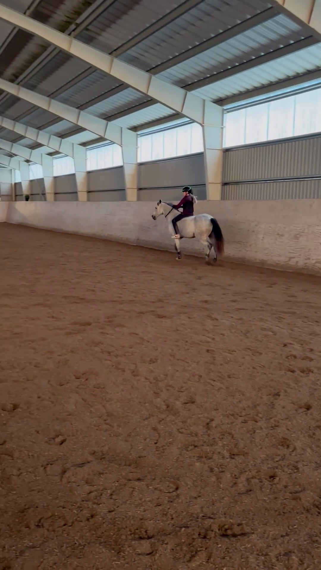 Allround hästar till salu: Fantastisk förstaponny och bästa vän - Video 1