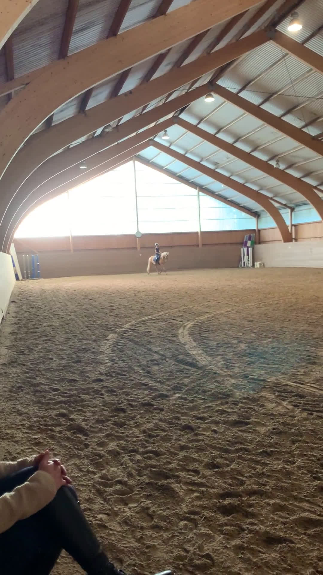 Allround hästar till salu: Gyllene Morganvalack i Vallda - Video 3