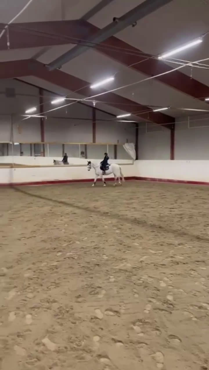 Allround hästar till salu: Trevligt sto  i Lycksele - Video 1