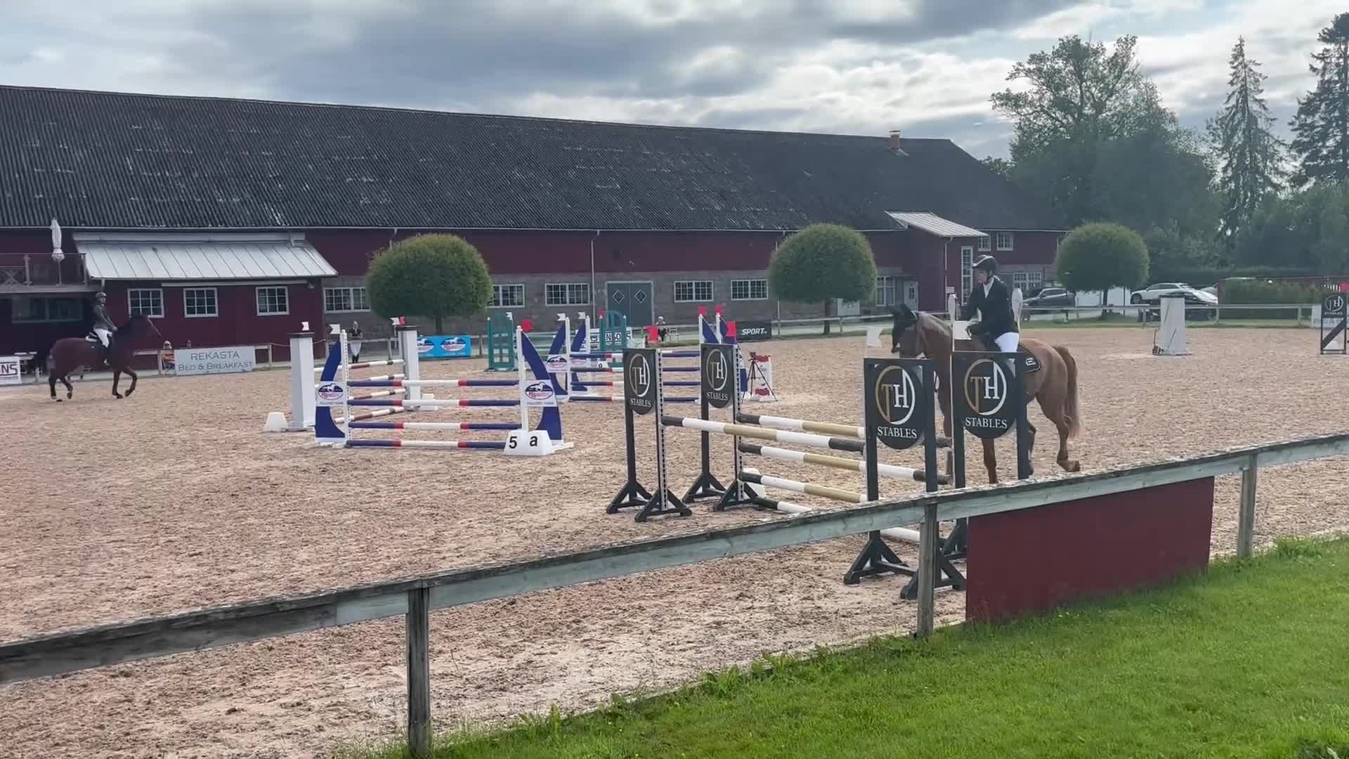 Hoppning hästar till salu: Fantastisk läromästare letar nytt hem! - Video 2