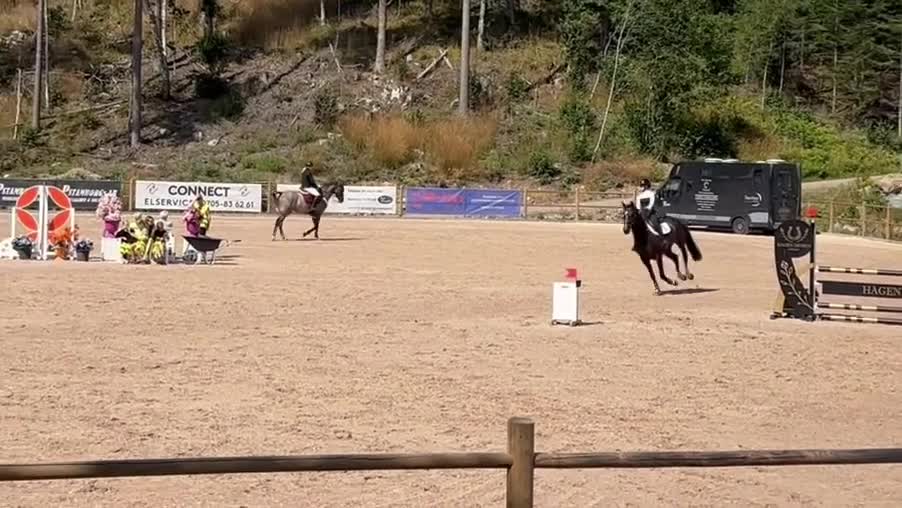 Hoppning hästar till salu: Framtida rosettplockare - Video 4