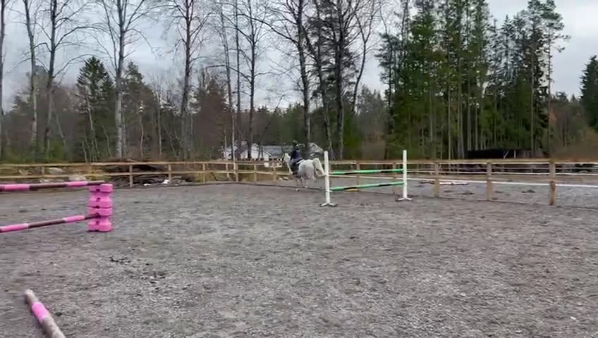 Allround hästar till salu: Fin C ponny!  i Tungelsta - Video 1