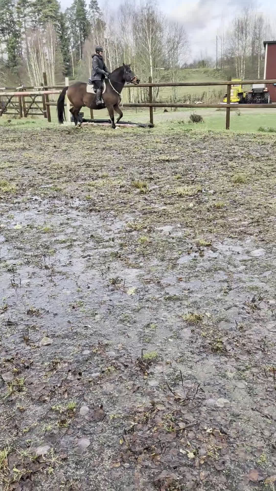 Allround hästar till salu: Ragnar säljes/bytes i Blidsberg - Video 1