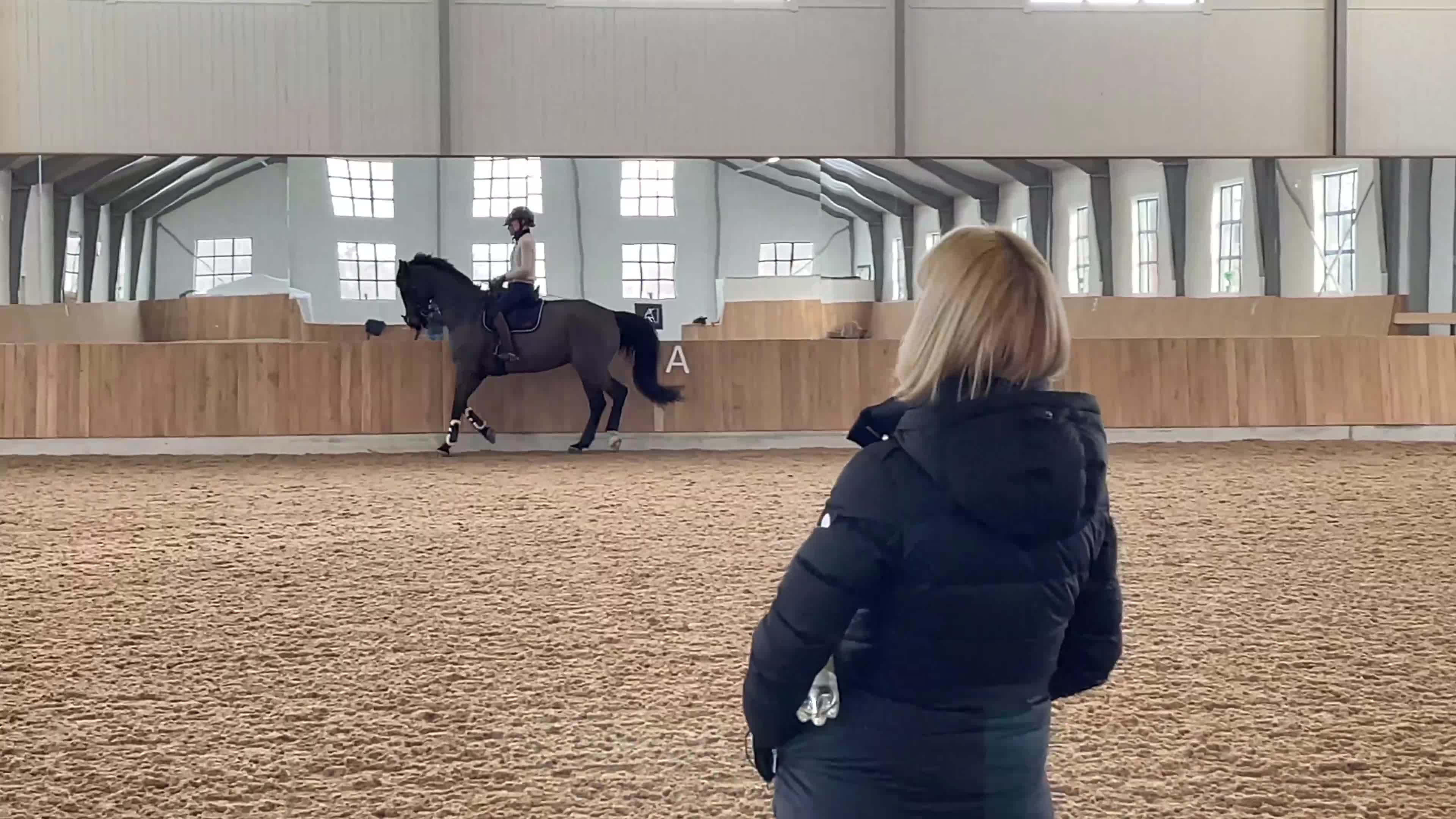 Dressyr hästar till salu: Välutbildad valack  i Sjöbo - Video 1
