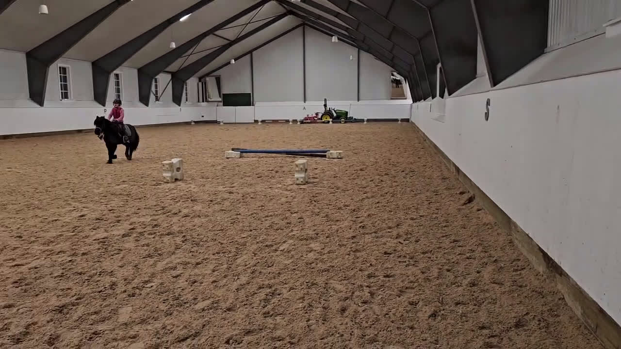 Allround hästar till salu: B ponny med guldhjärta - Video 5