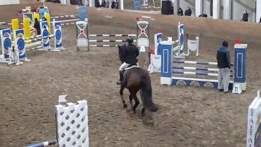 Hoppning hästar till salu: 6-årigt sto. Tävlat 110 - Video 1