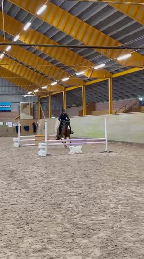 Allround hästar till salu: Maxad Welsh D-ponny  - Video 2