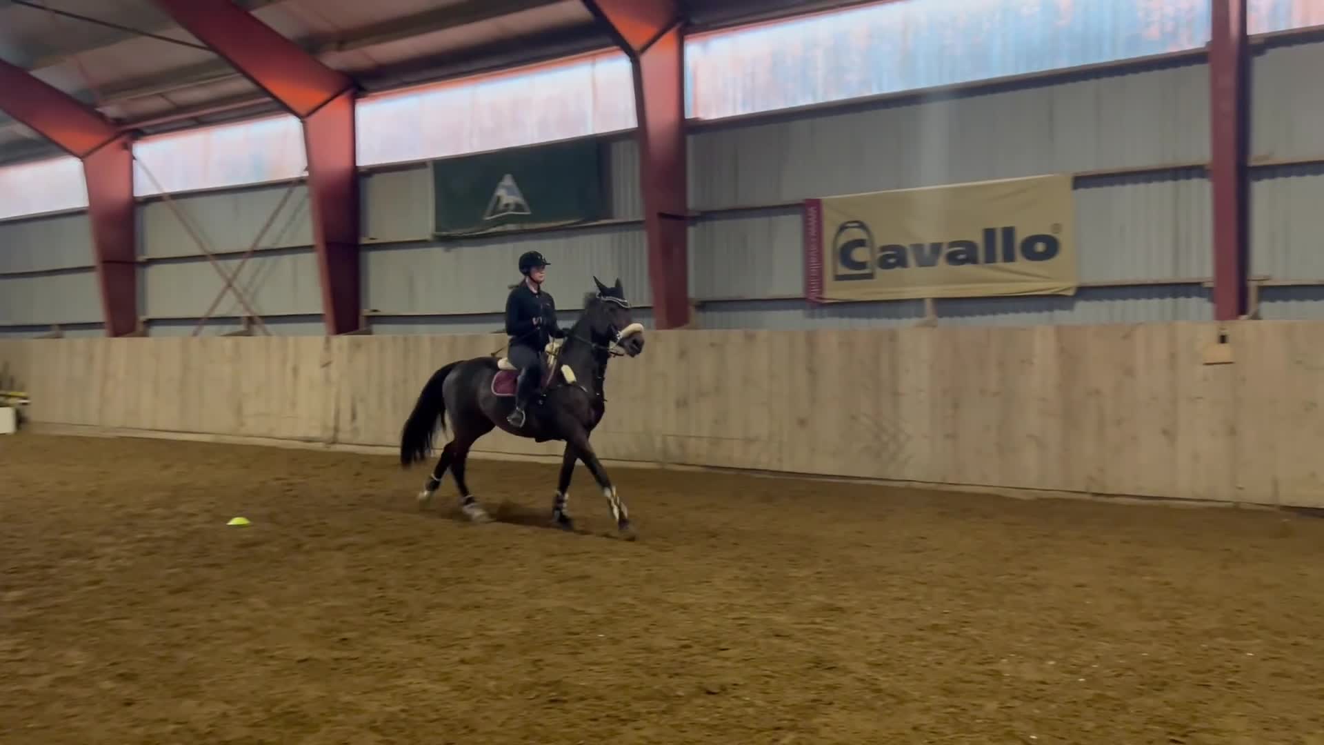 Allround hästar till salu: Trevligt sto med power  i Älvängen - Video 2