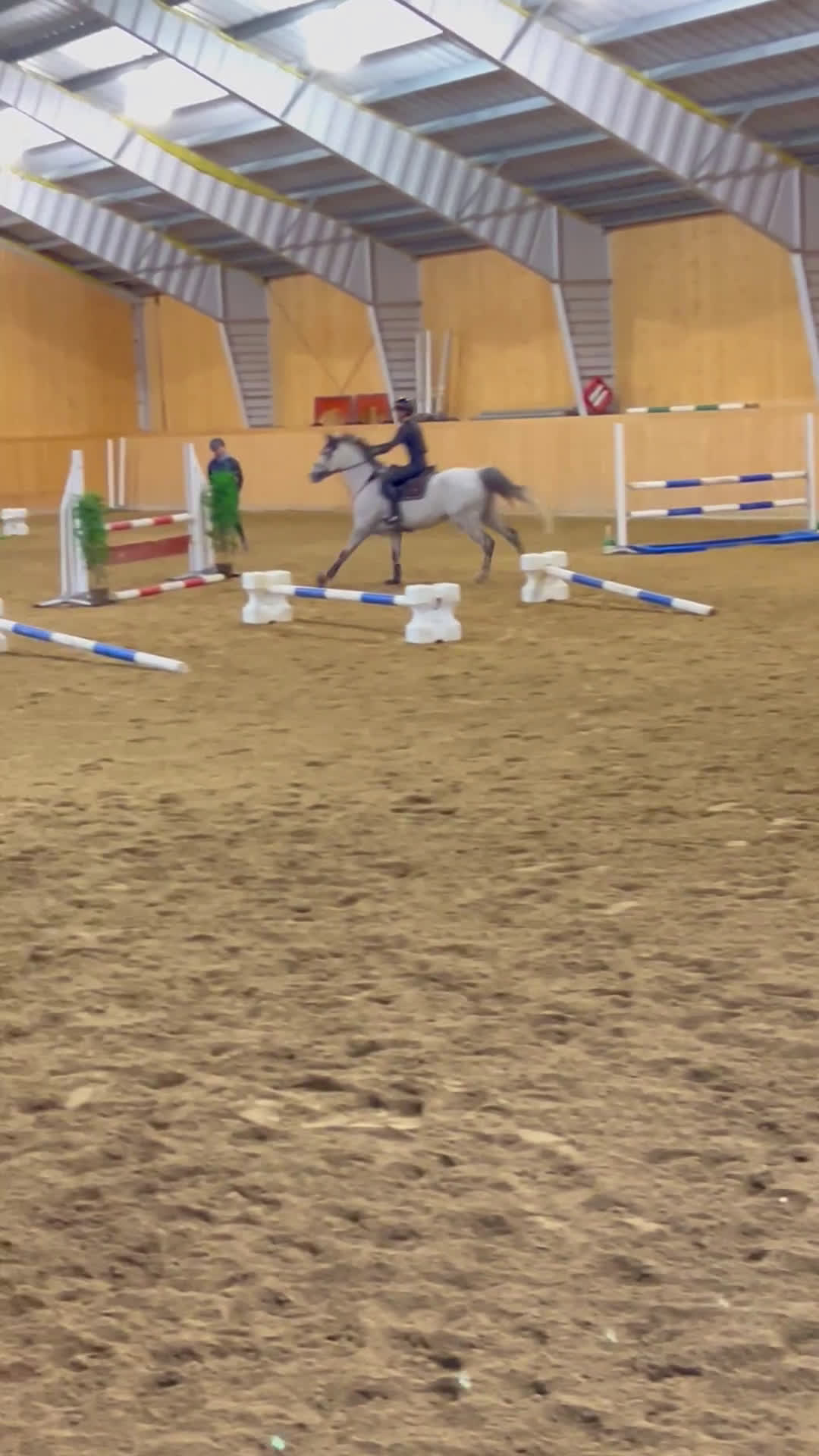 Hoppning hästar till salu: En ponny för dem stora klasserna! i Knivsta - Video 1