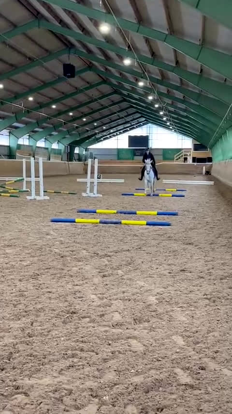 Allround hästar till salu: Utvecklingsbar ponny säljes - Video 1