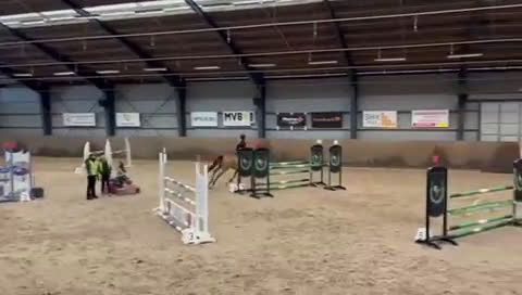 Hoppning hästar till salu: Välutbildad läromästare i Malmö - Video 2