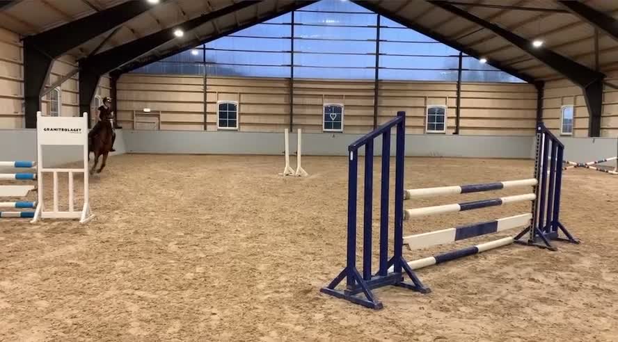 Allround hästar till salu: Stjärnponny söker nytt hem - Video 3