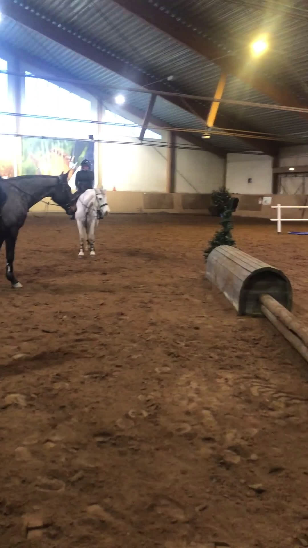  medryttarhäst sökes: Medryttare finnes! - Video 1