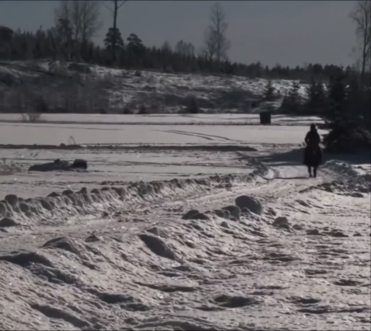 Allround hästar till salu: Drömponny. Maxad C-ponny med ett hjärta av guld - Video 2