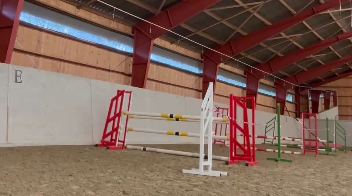 Hoppning hästar till salu: SWB 3åring  - Video 1