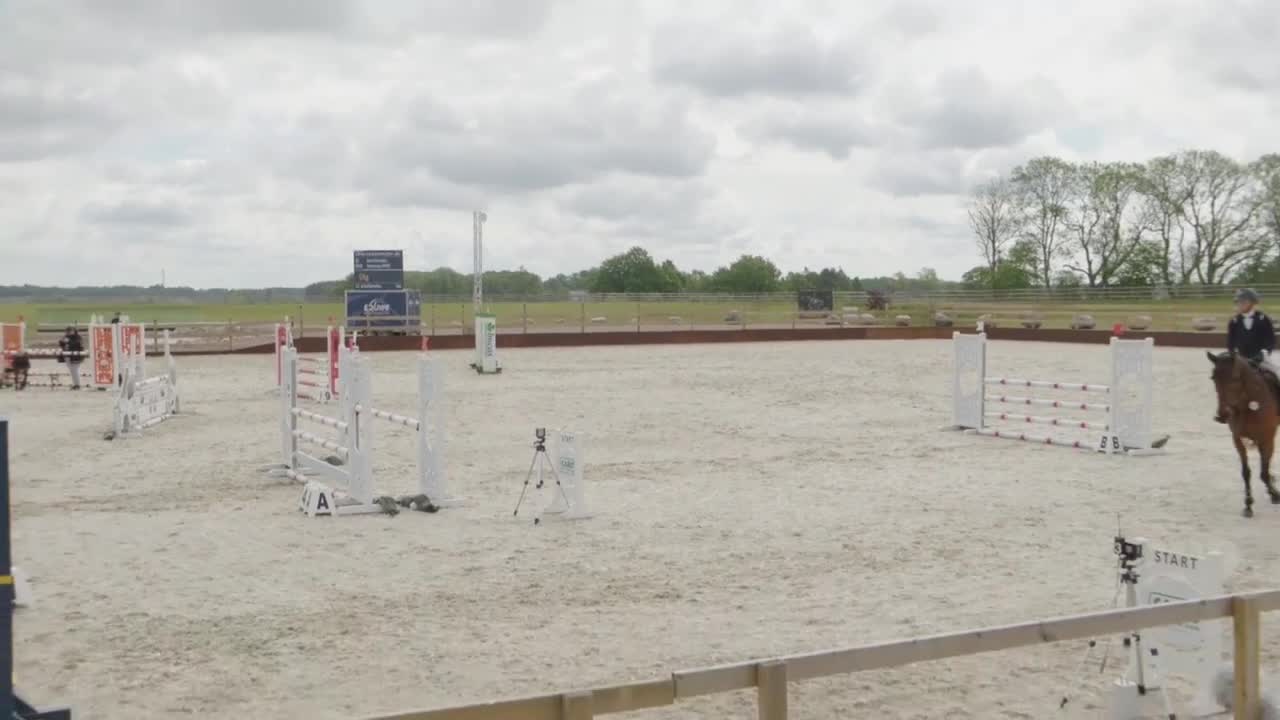Hoppning hästar till salu: Trevlig läromästare  - Video 1
