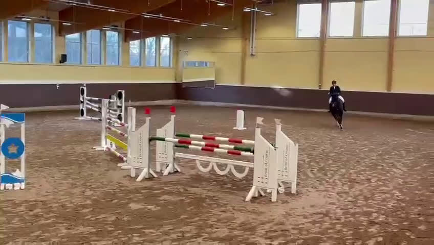 Hoppning hästar till salu: Trevligt SWB-sto i Kumla - Video 1