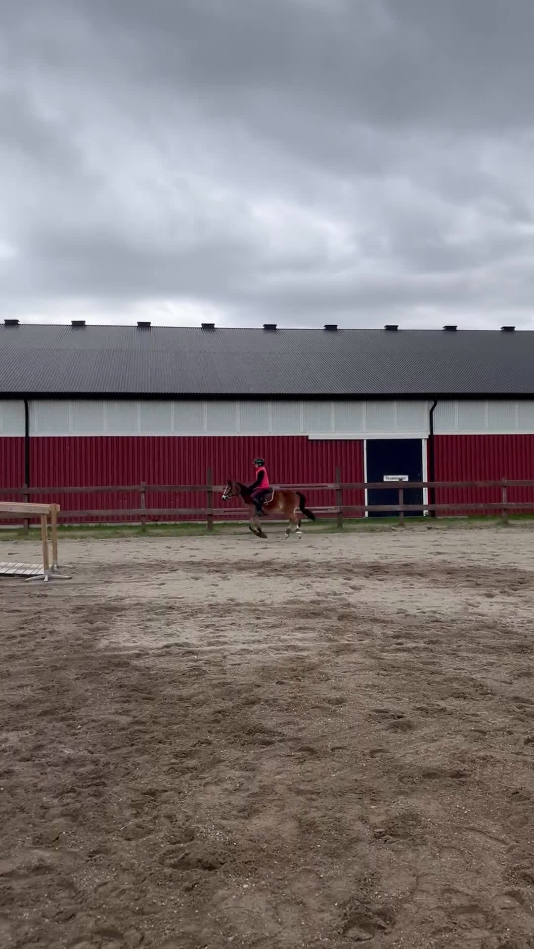 Allround hästar till salu: Trevlig b-ponny för allround i Heby - Video 1
