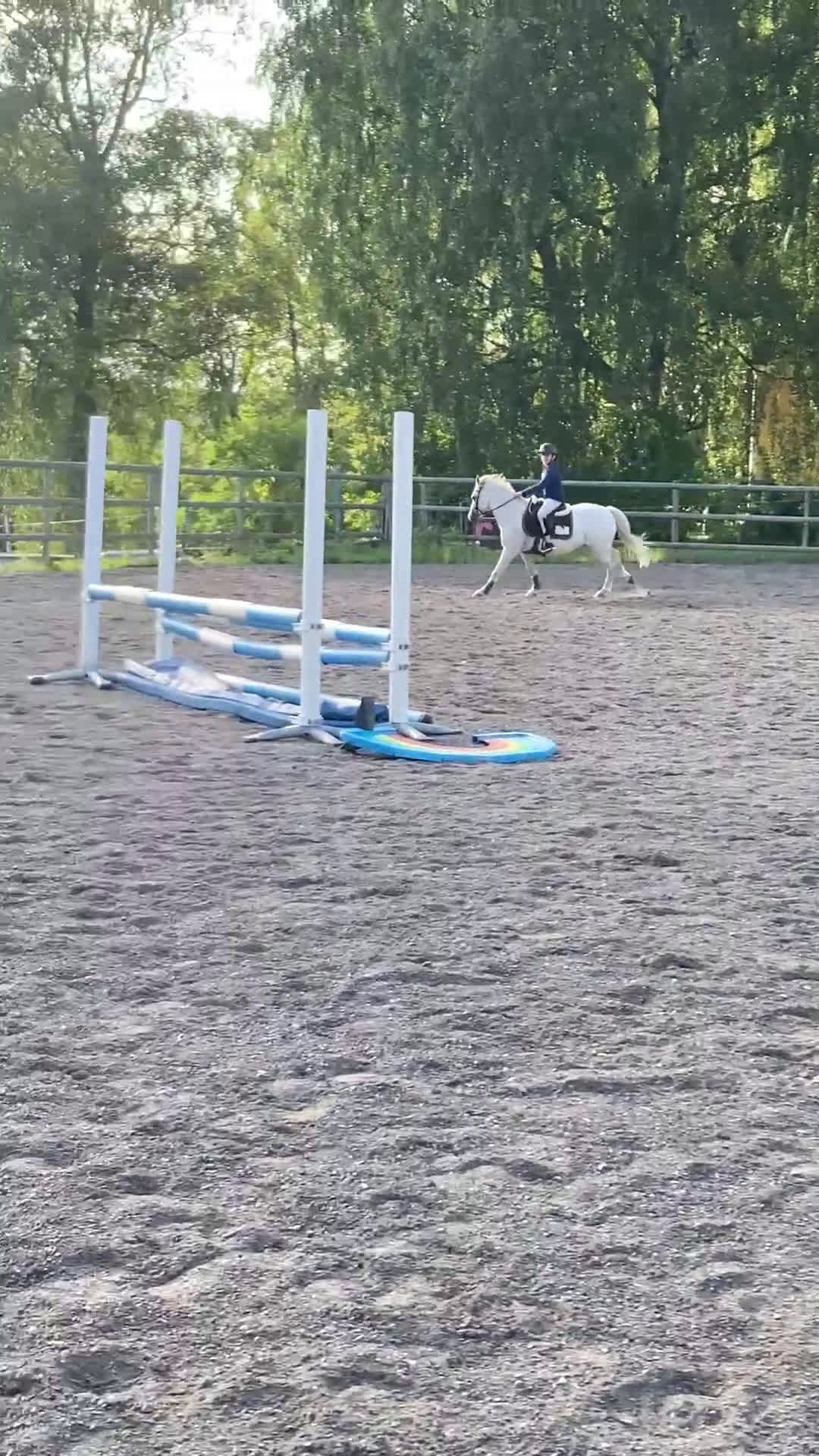  stallplats finnes: Stallplats på stall Toveryd i Jönköping - Video 2
