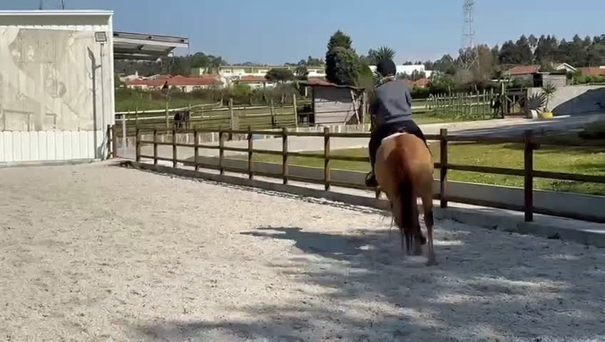 Allround hästar till salu: Trevligt ponnysto i Pargas - Video 2