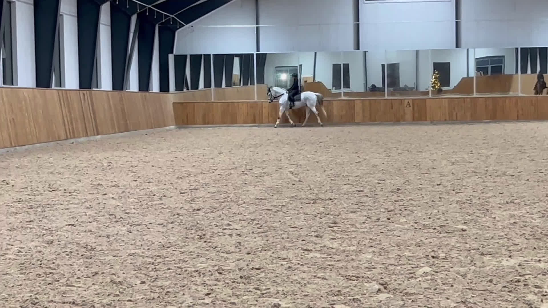 Allround hästar till salu: Fin & mysig bästa vän att träna och utvecklas med - Video 1