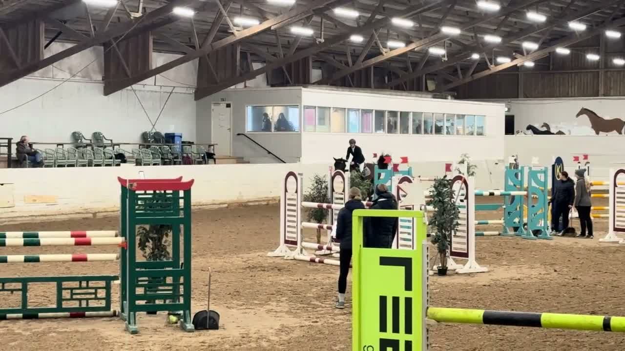 Hoppning hästar till salu: Lovande 7-åring i Sjöbo - Video 1