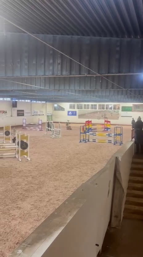 Hoppning hästar till salu: Lovande D-ponny med hjärta och potential 🌟 - Video 4