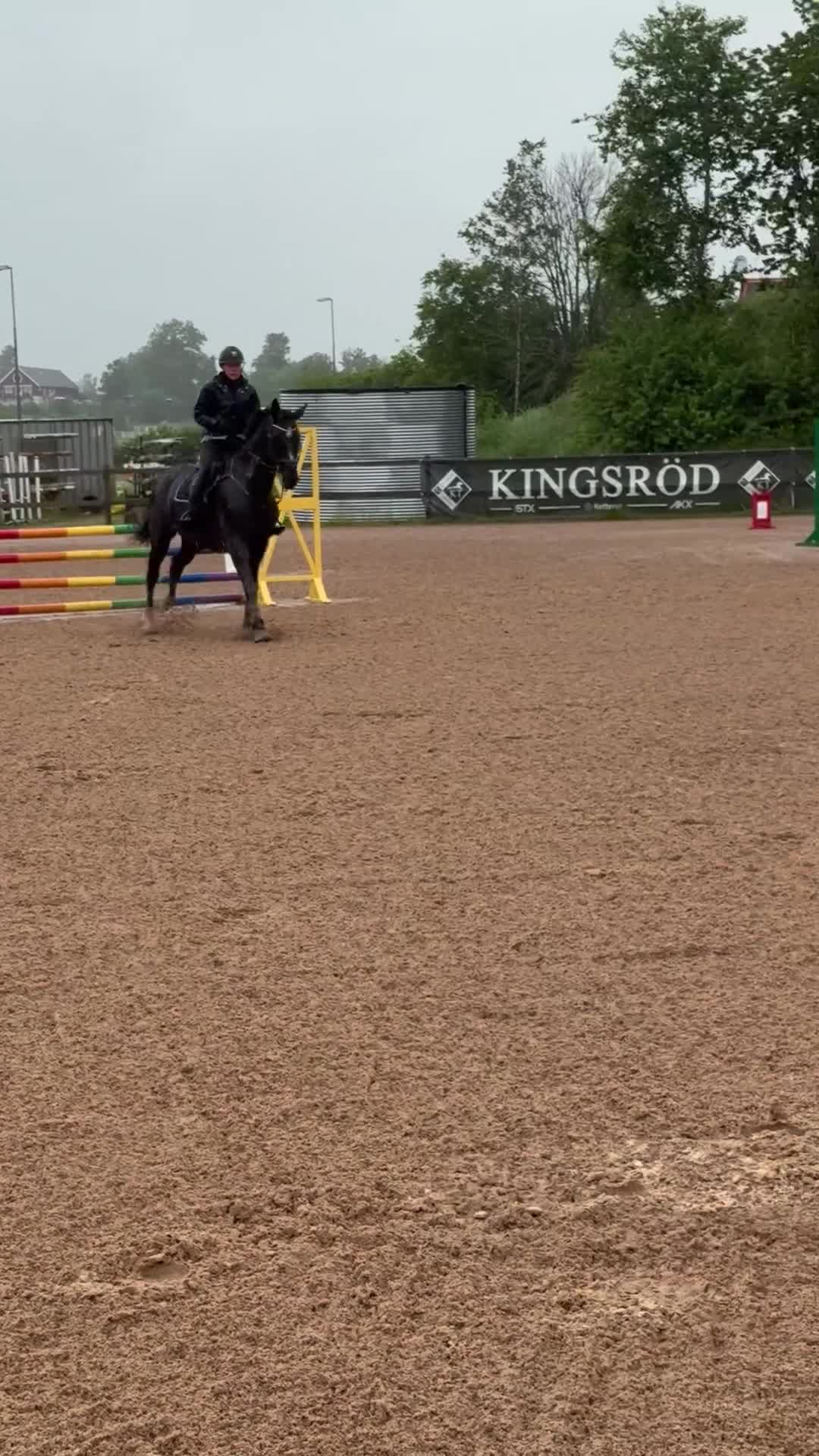 Hoppning hästar till salu: Maffigt hoppsto med kanonstam  - Video 1