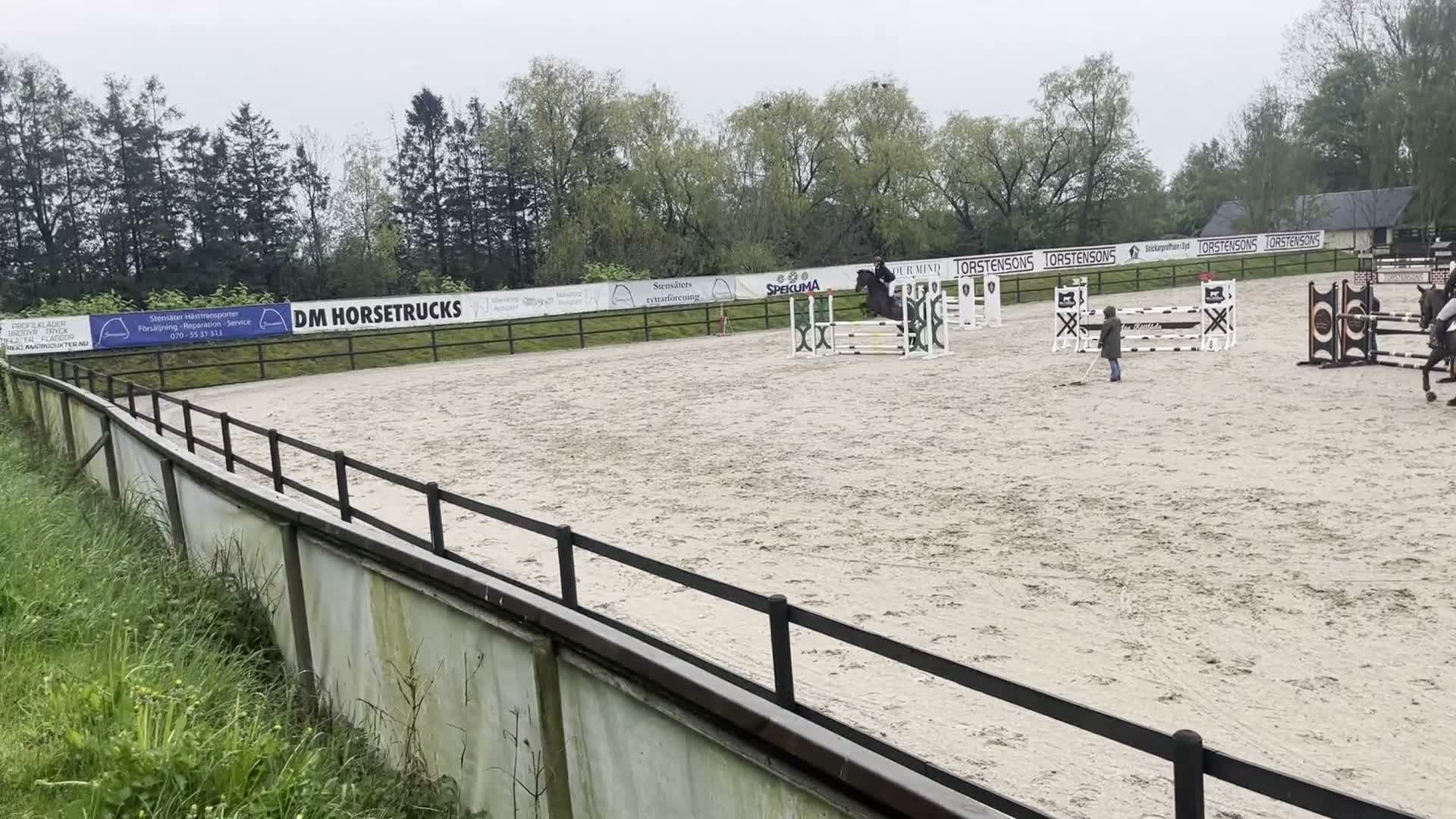 Hoppning hästar till salu: Lovande 7-åring i Sjöbo - Video 2