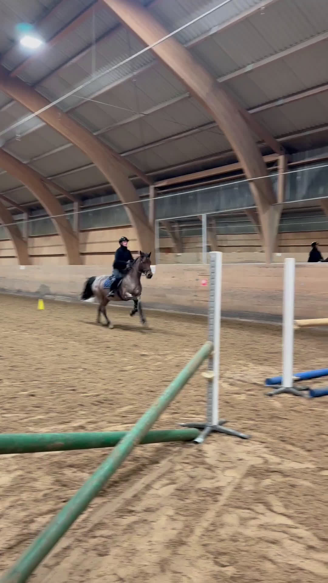 Allround hästar till salu: Allround ponny i Västra Frölunda - Video 3