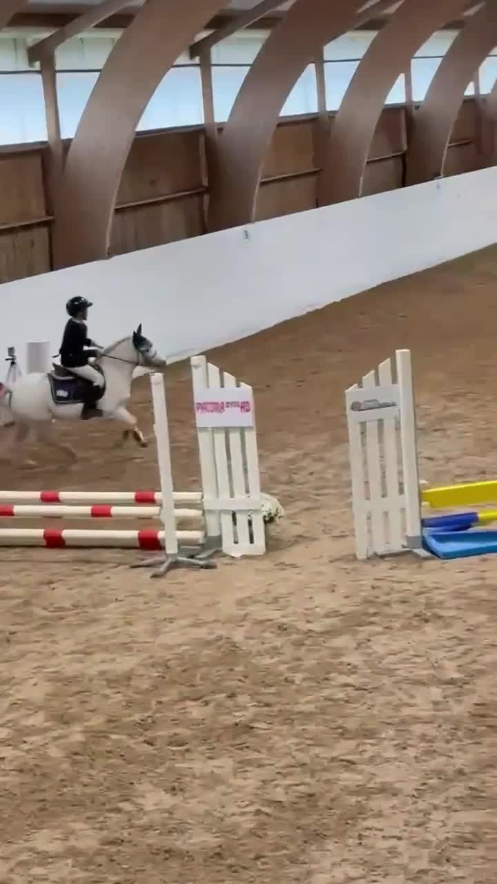 Allround hästar till salu: Sockersöt B-ponny - Video 4