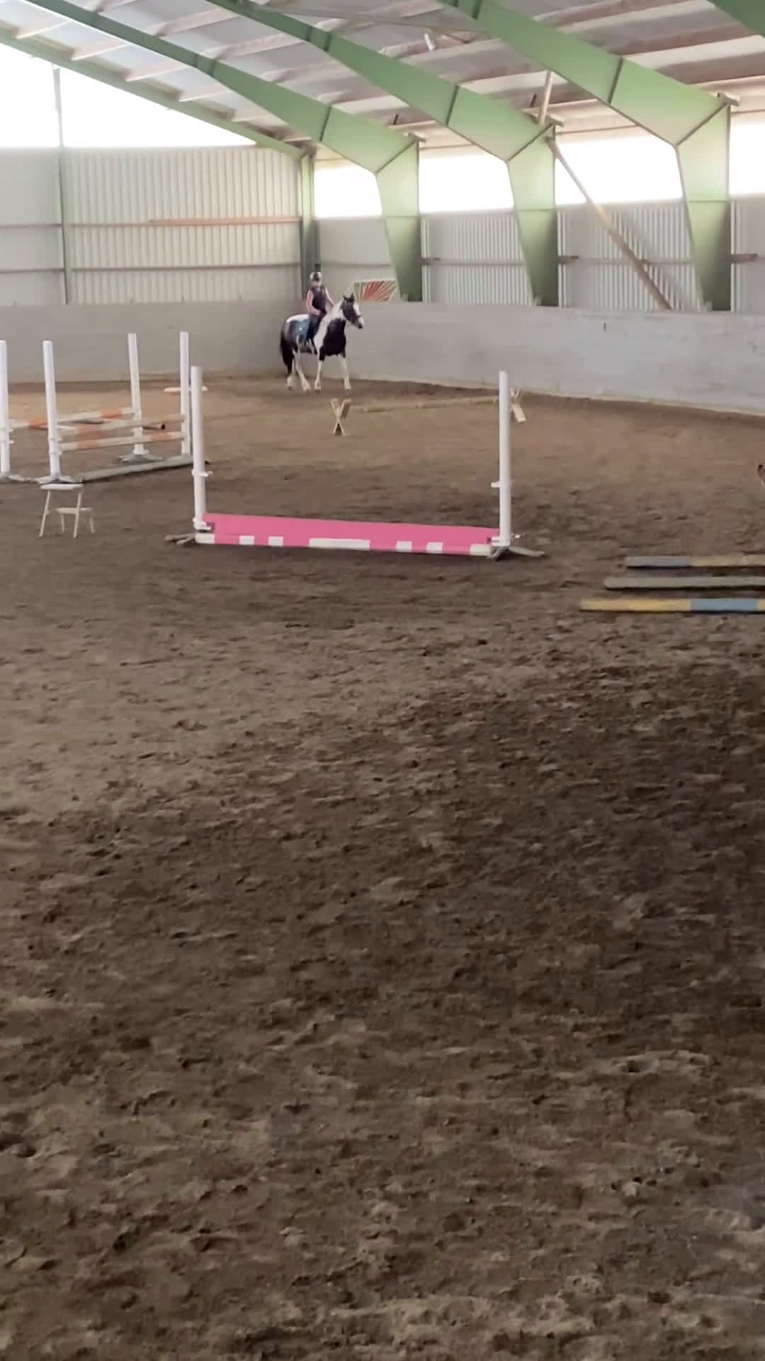 Allround hästar till salu: Vackert och snällt sto. i Hindås - Video 1