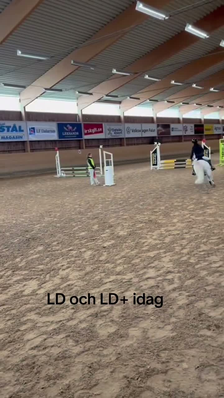 Allround hästar till salu: Ponny med stort ❤️  - Video 1