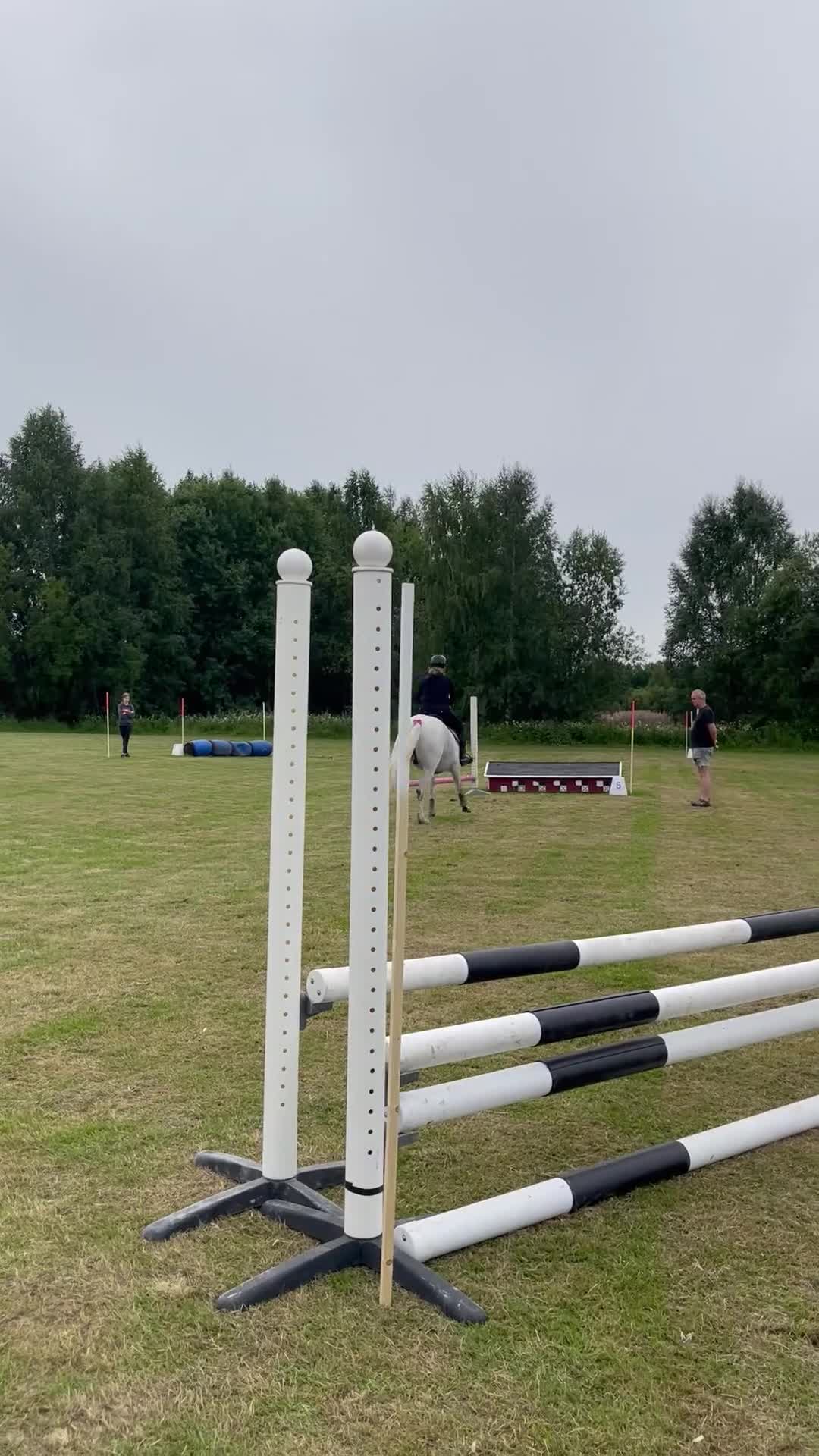 Allround hästar till salu: Hinderklok oslipad diamant 💎  i Luleå - Video 2