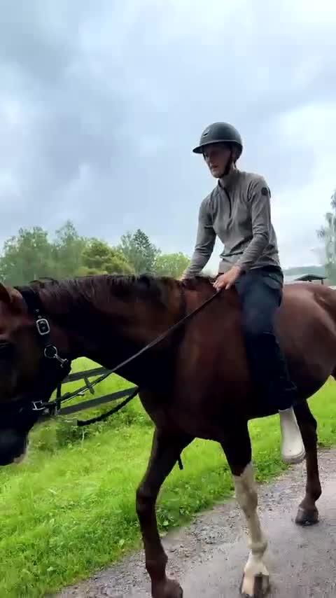 Allround hästar till salu: Välriden, genomsnäll bästavän i Falun - Video 2