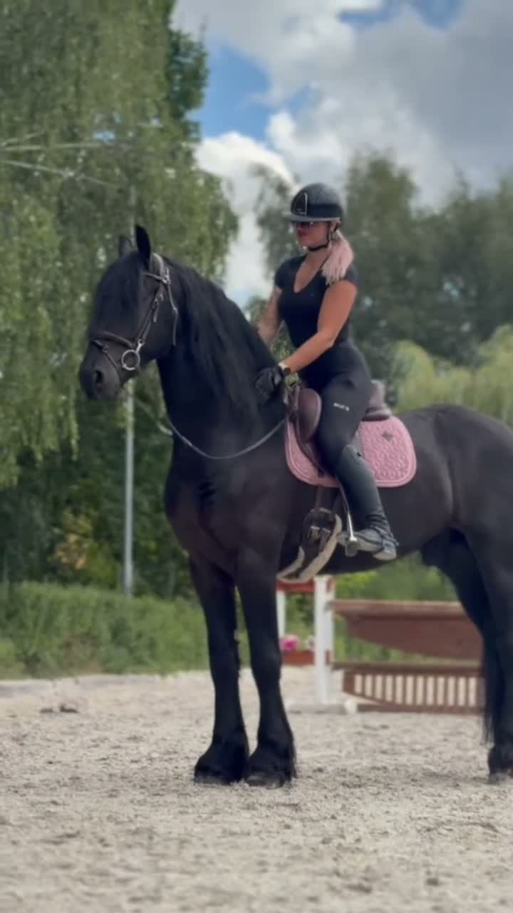 Dressyr hästar till salu: Amazing fresian! Perfect familly horse or sport - Video 3