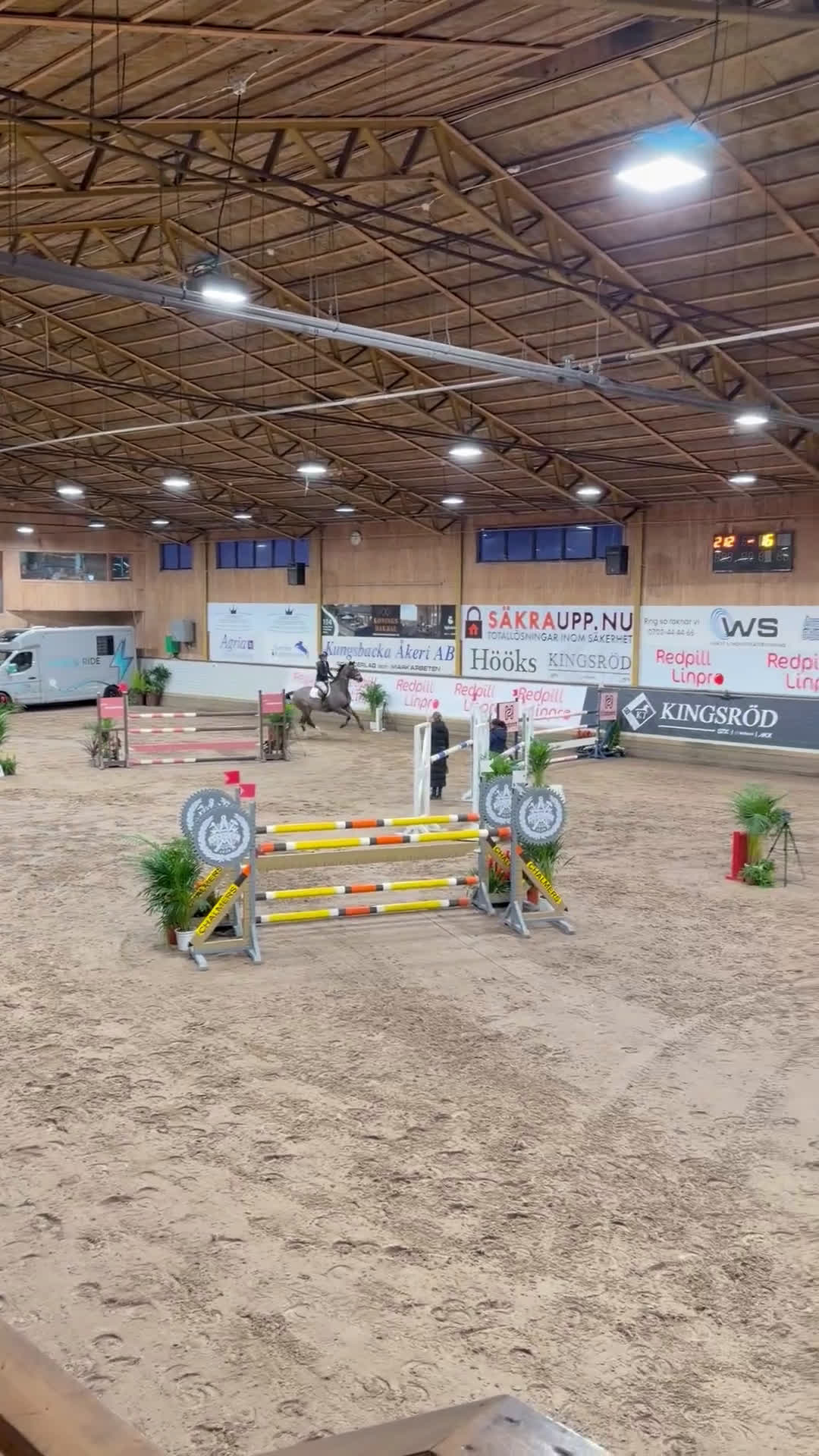 Hoppning hästar till salu: Välhoppande valack med stor kapacitet - Video 1