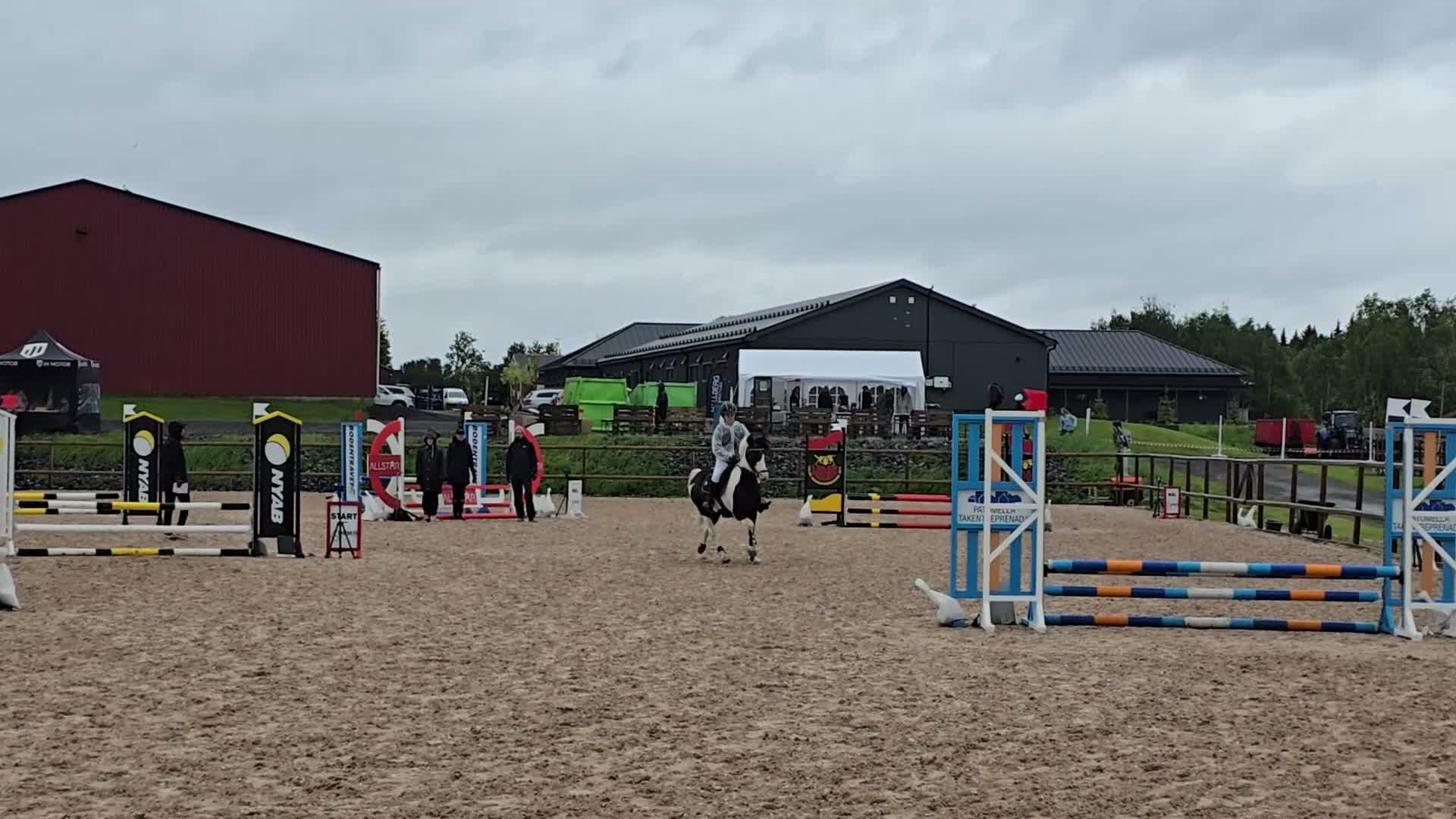 Allround hästar till salu: Underbar läromästare  i Vistträsk - Video 2